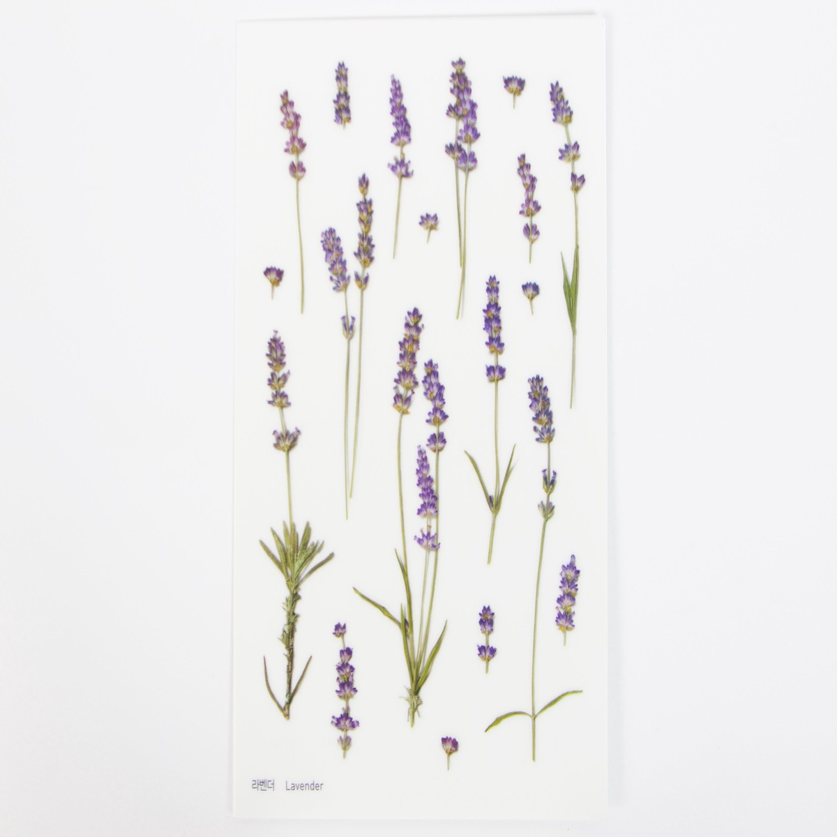 Appree Pressed Flower Stickers - Lavender