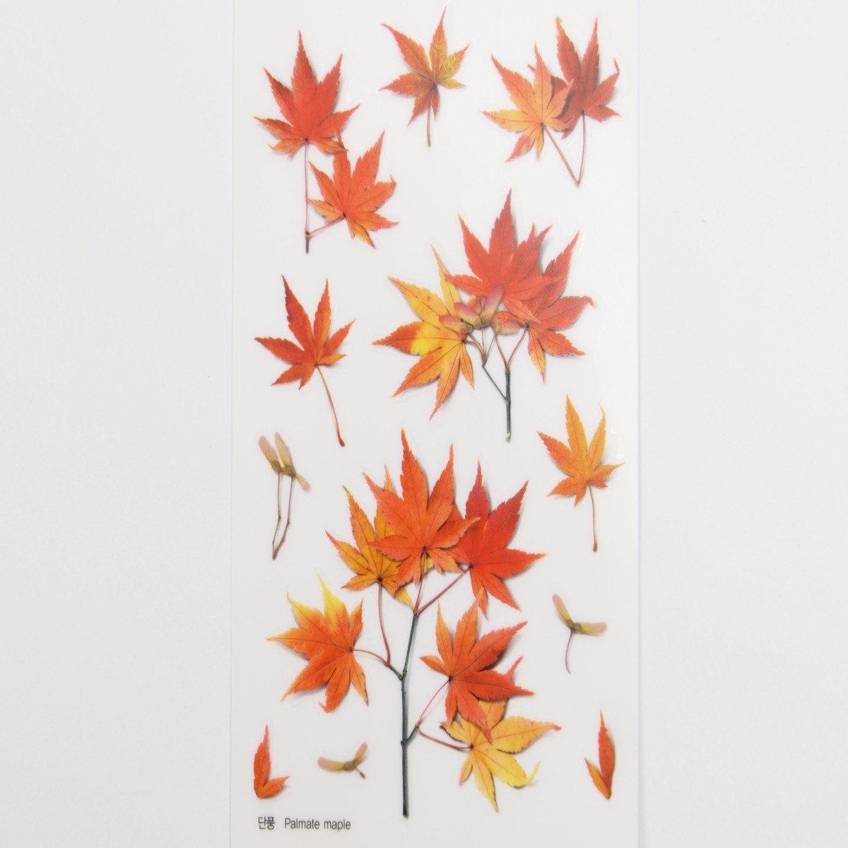 Appree Pressed Flower Stickers - Maple