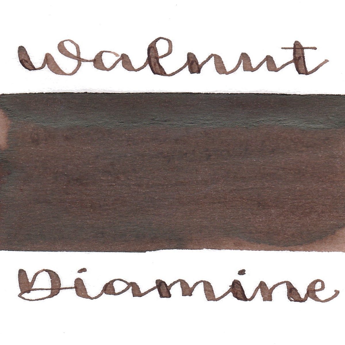 Diamine Purple Edition - Standard Walnut - 4ml Sample